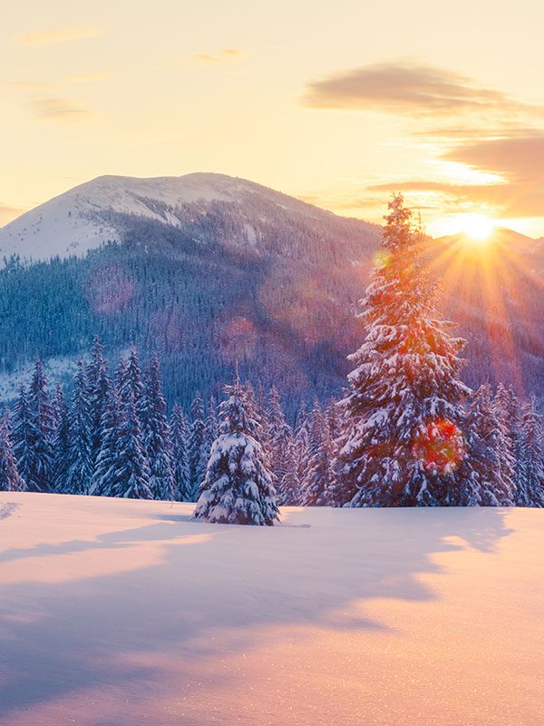 Winter landscape